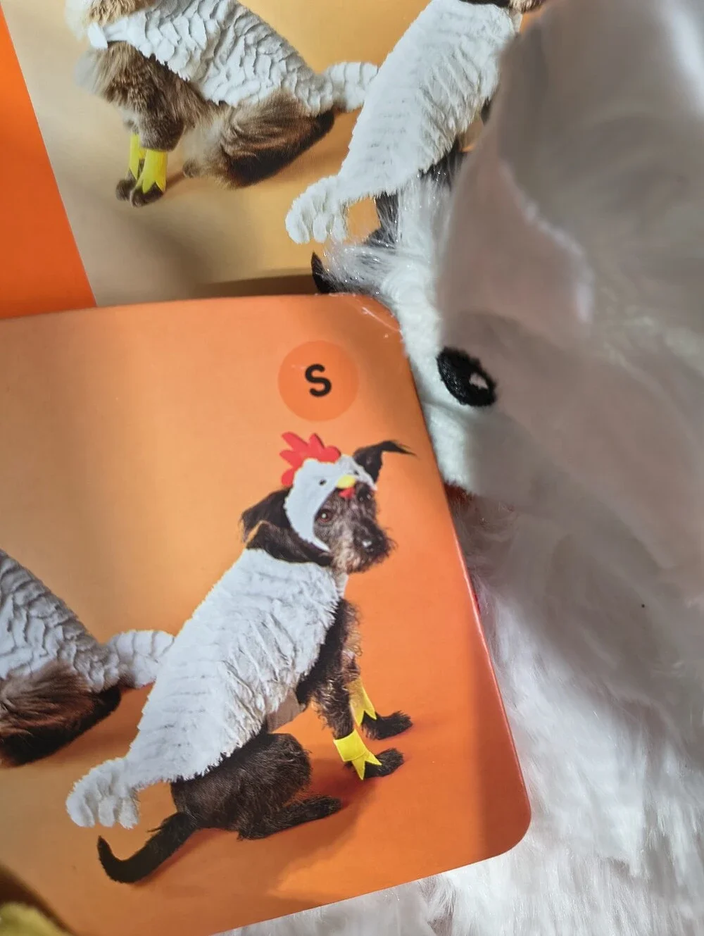 Boots & Barkley White Chicken Costume For Dogs Size Small